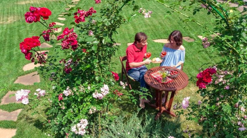 Origineller Heiratsantrag - Paar im Rosengarten