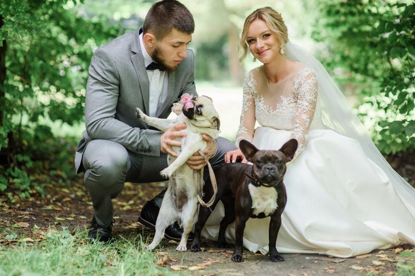Brautpaar, mit 2 Hunden