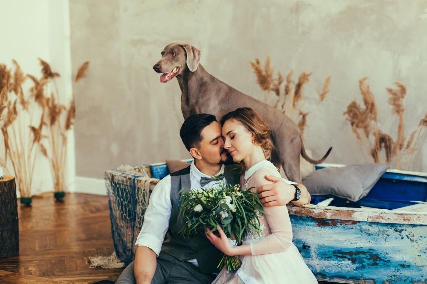 Brautpaar im Vordergrund, Hund im Hintergrund